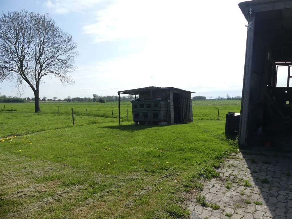 Immobilie in Wischhafen - Kleines Haus, großes Grundstück! - Bild 2