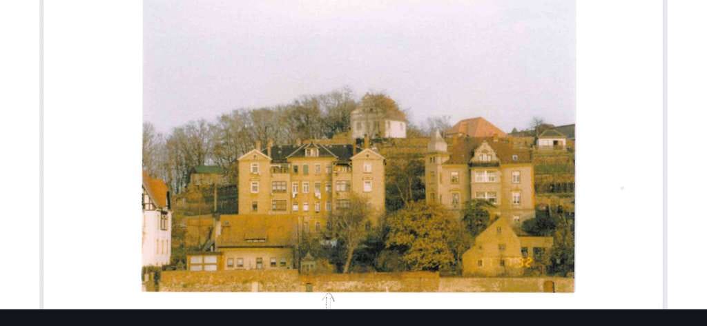 Immobilie in Meißen - Interessantes Mehrfamilienhaus mit zweitem Bauplatz - Bild 4
