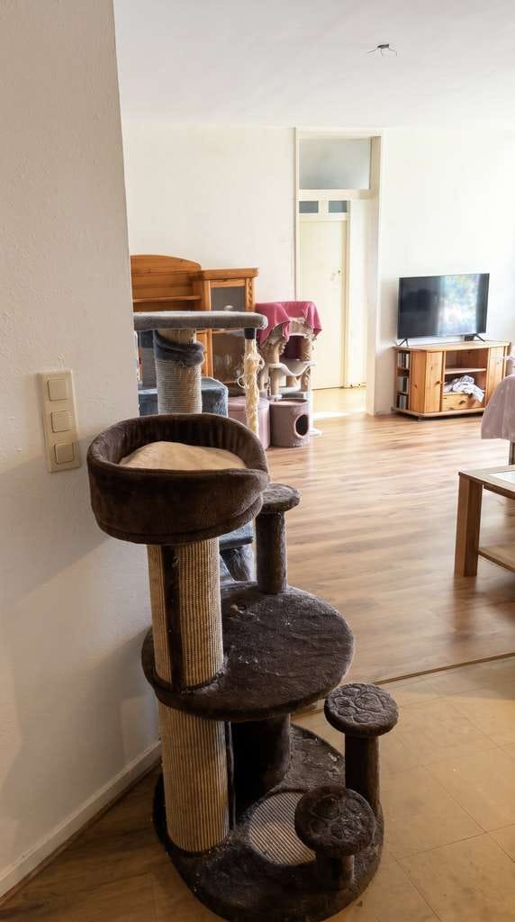 Immobilie in Welver - Erdgeschosswohnung als attraktive Kapitalanlage mit Entwicklungspotential in Welver-Scheidingen - Bild 4