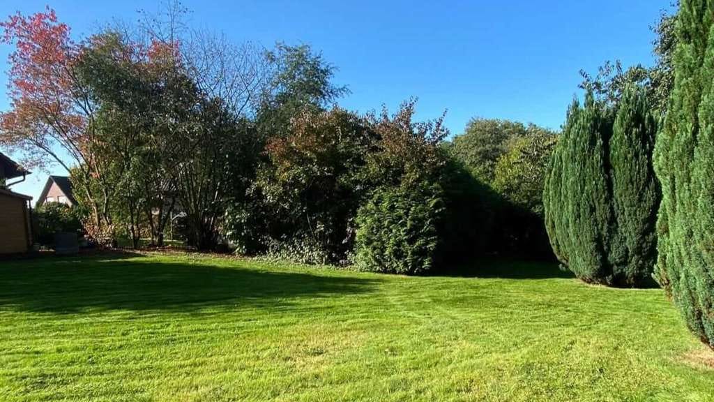 Immobilie in Petershagen - ***Modernisiertes Mehrgenerationenhaus, große Grundstück und vielseitige
Nutzungsmöglichkeiten*** - Bild 0