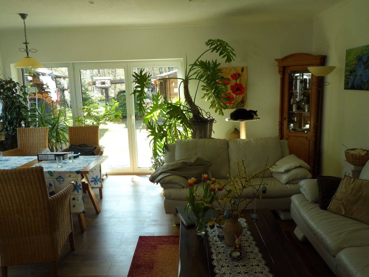 Immobilie in Kemberg - Kapitalanlage -Geräumiges Mietshaus mit Terrasse in Bergwitz - Bild 2