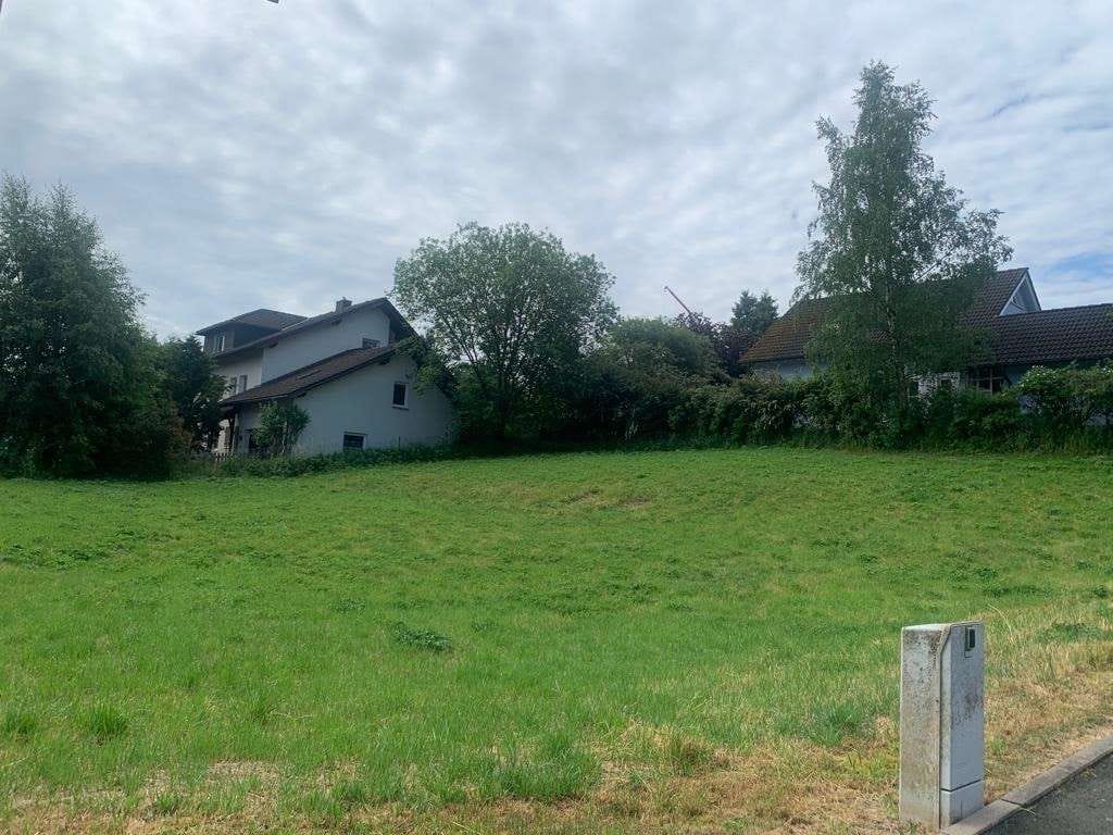 Immobilie in Leupoldsgrün - Ein-/Zweifamilienhaus in Leupoldsgrün - Bild 2