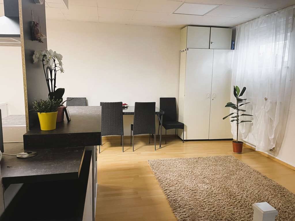 Immobilie in Bad Bergzabern - Kapitalanlage - Gemütliches 1-Zimmer-Appartement mit voll ausgestatteter Küche - Bild 4