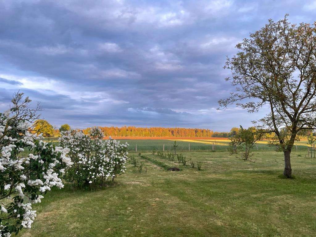 Immobilie in Gusborn - Idyllische Hofstelle mit weitem Blick in die Natur - Bild 4