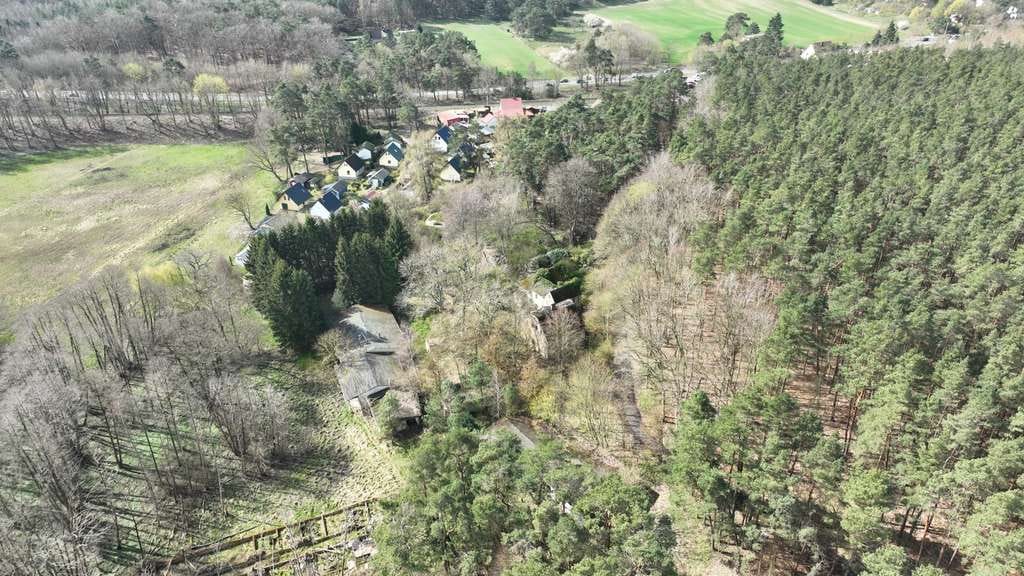Immobilie in Ückeritz - Traumhaftes Anwesen an der Ostsee – 22.000 m² Naturidylle in Ückeritz - Bild 4