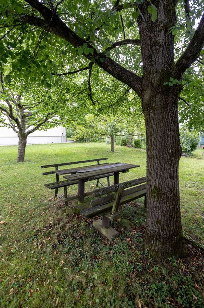 Immobilie in Haar - „IDYLLISCHES MEHRFAMILIENHAUS mit großem GARTEN und alten OBSTBÄUMEN“ - Bild 4
