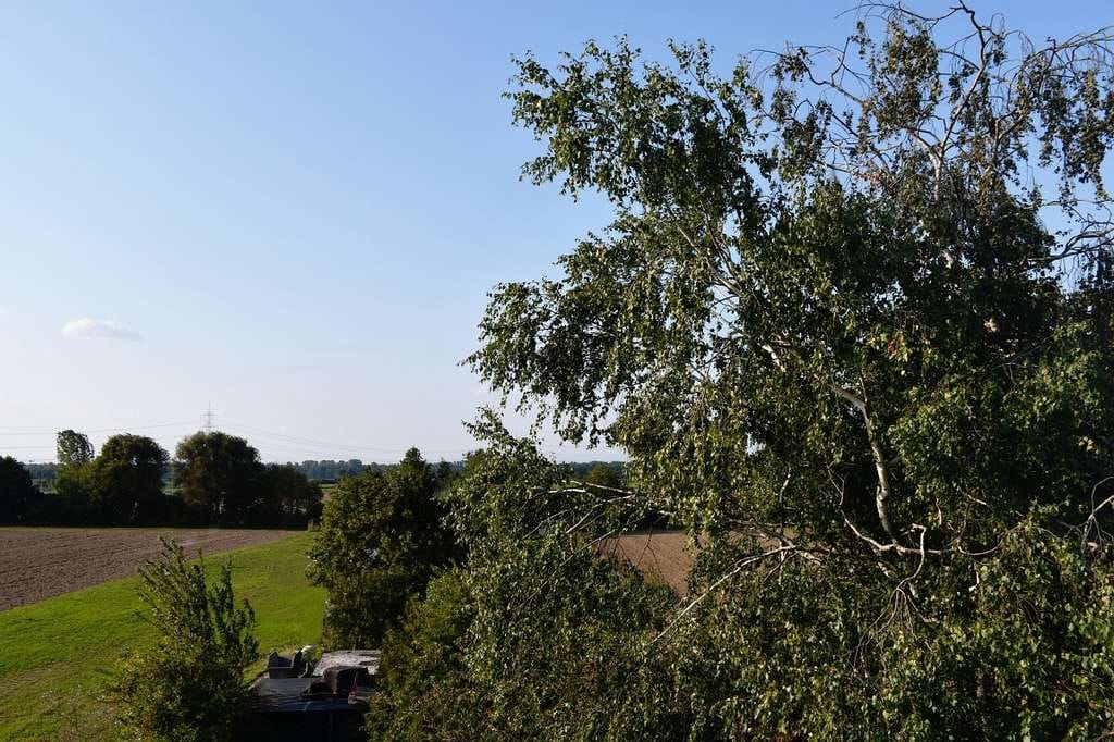 Immobilie in Weiterstadt - Attraktives Wohnhaus mit Einliegerwohnung für die große Familie - Bild 3