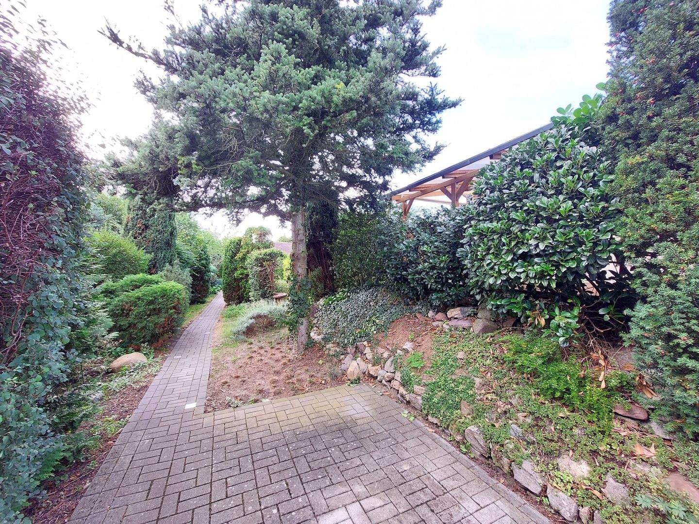 Immobilie in Wiesengrund - Charmantes Einfamilienhaus mit gepflegtem Grundstück in Wiesengrund OT Jethe zu verkaufen! - Bild 3