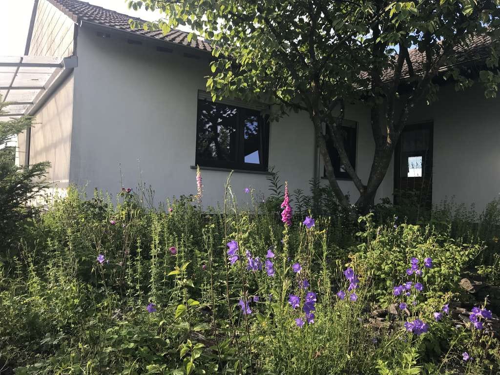 Immobilie in Bleckhausen - Freistehendes Einfamilienhaus in Bleckhausen mit zusätzlichem Bauplatz - Bild 3