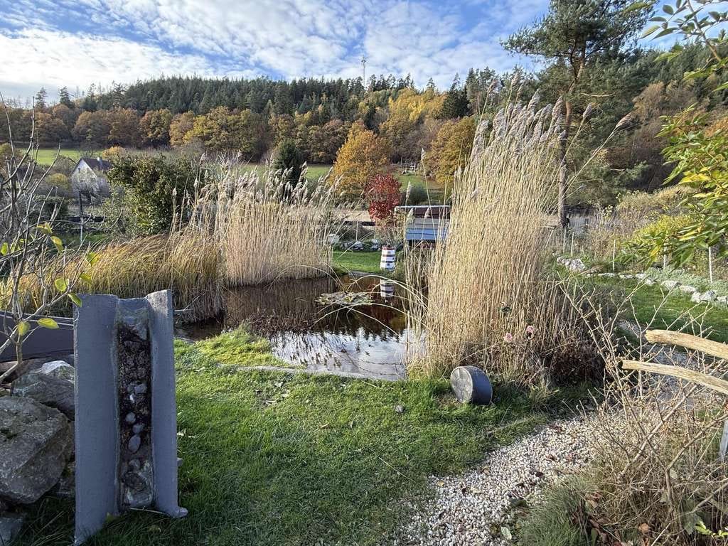 Immobilie in Marsberg - Schöner wohnen in idyllischer Lage - Bild 4