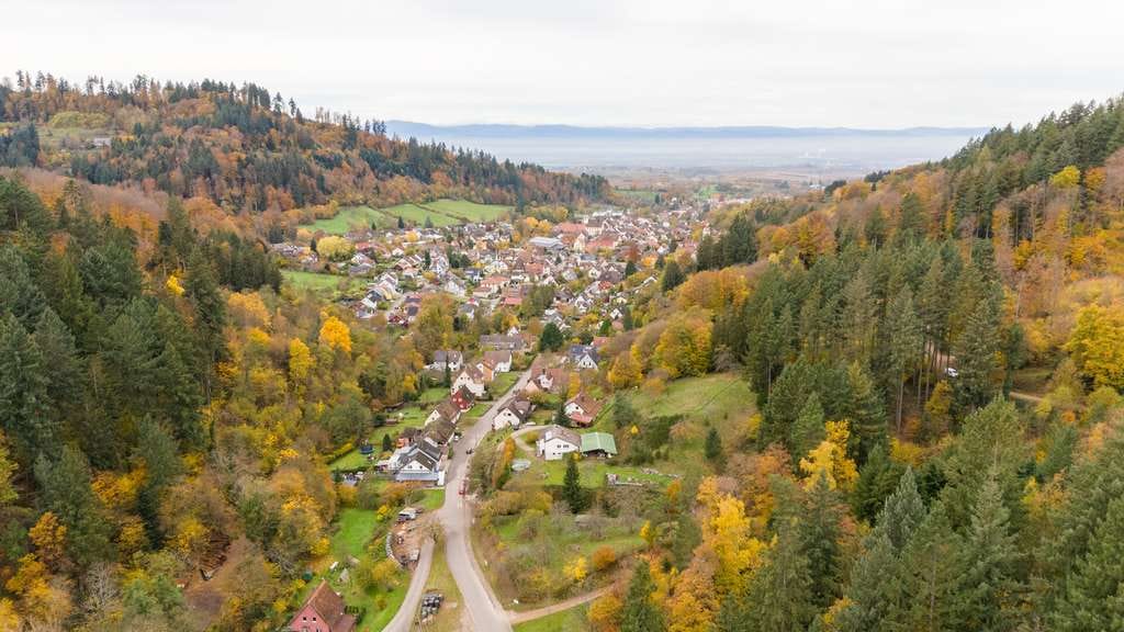 Immobilie in Sulzburg - Einfamilienhaus 
zwischen Grün- und Waldfläche
Großzügig  - Grün - Gestaltbar - Bild 1