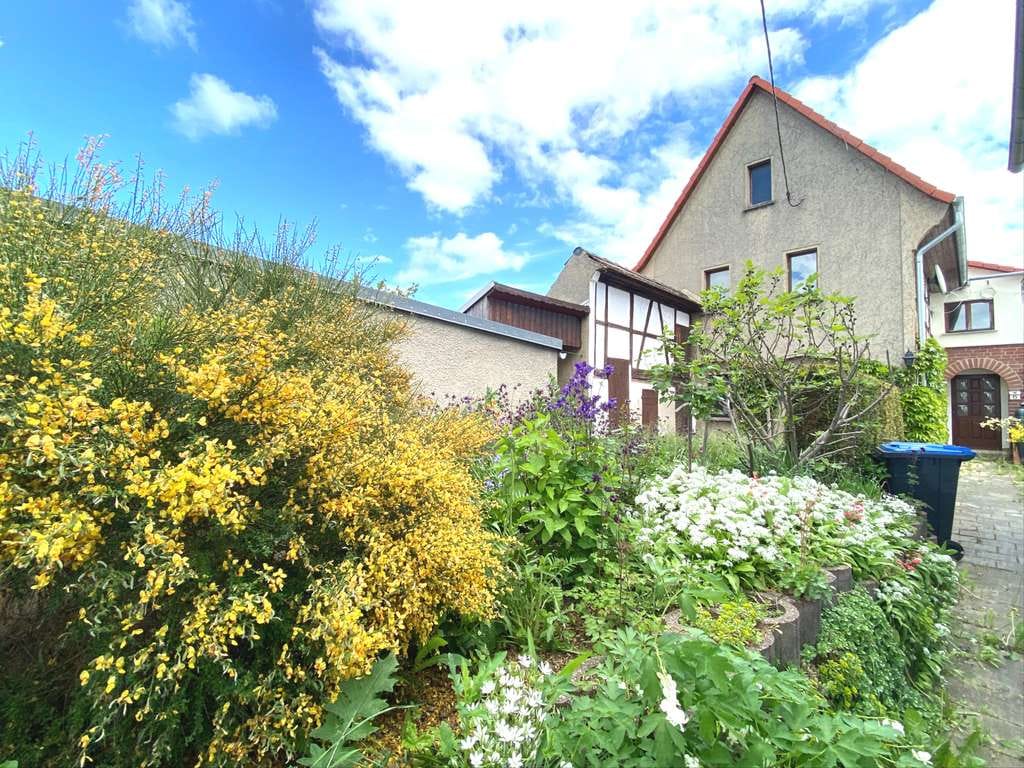 Immobilie in Altenburg - Einfamilienhaus in guter Wohnlage zu einem fairen Preis zu verkaufen. - Bild 1