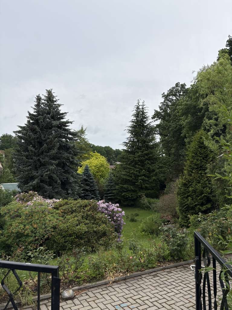 Immobilie in Großweitzschen - Westewitz- Wochenendgrundstück mit Bungalow - Bild 4