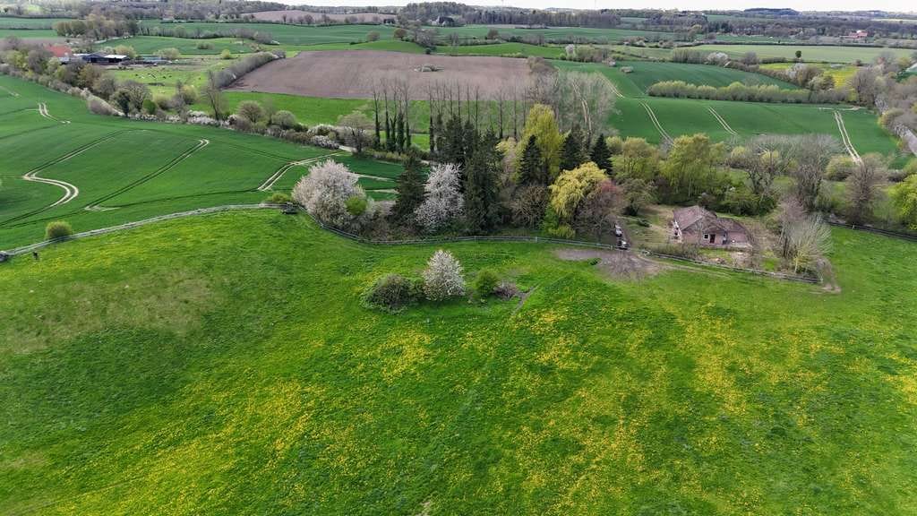 Immobilie in Harmsdorf - Resthof in Alleinlage mit unverbaubarem Fernblick - Bild 3
