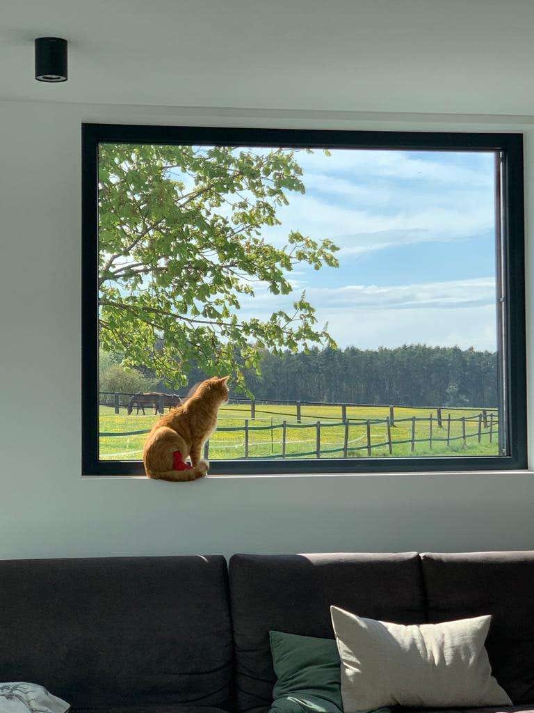 Immobilie in Weisendorf - Exklusives Einfamilienhaus direkt am See - Bild 4