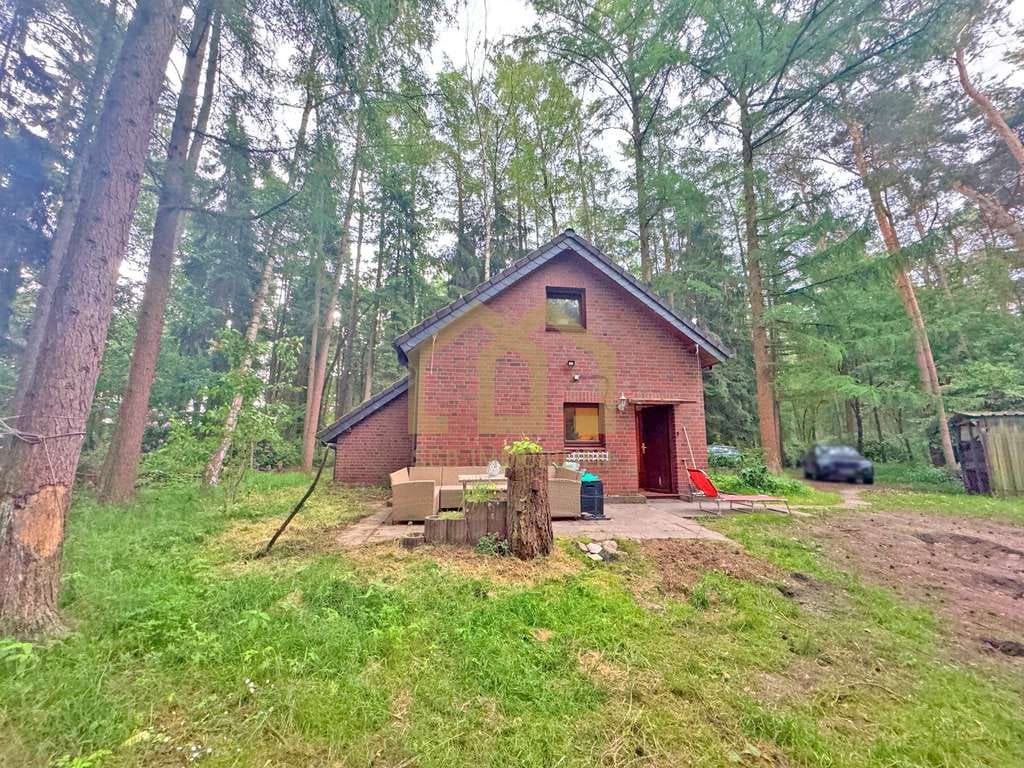 Immobilie in Wildeshausen - 6.503 m² Naturparadies an der Hunte – Wochenendhaus in traumhafter Waldlage - Bild 1