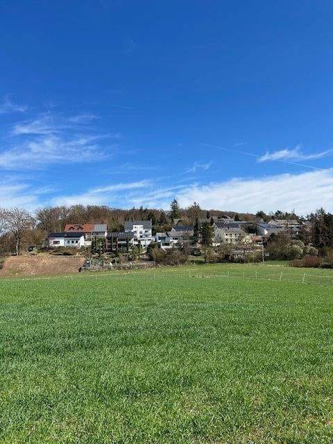 Immobilie in Nittendorf - Preissenkung bei grandiosem Ausblick, ruhige Lage, großzügiges Wohnen mit Einliegerwohnung - Bild 2