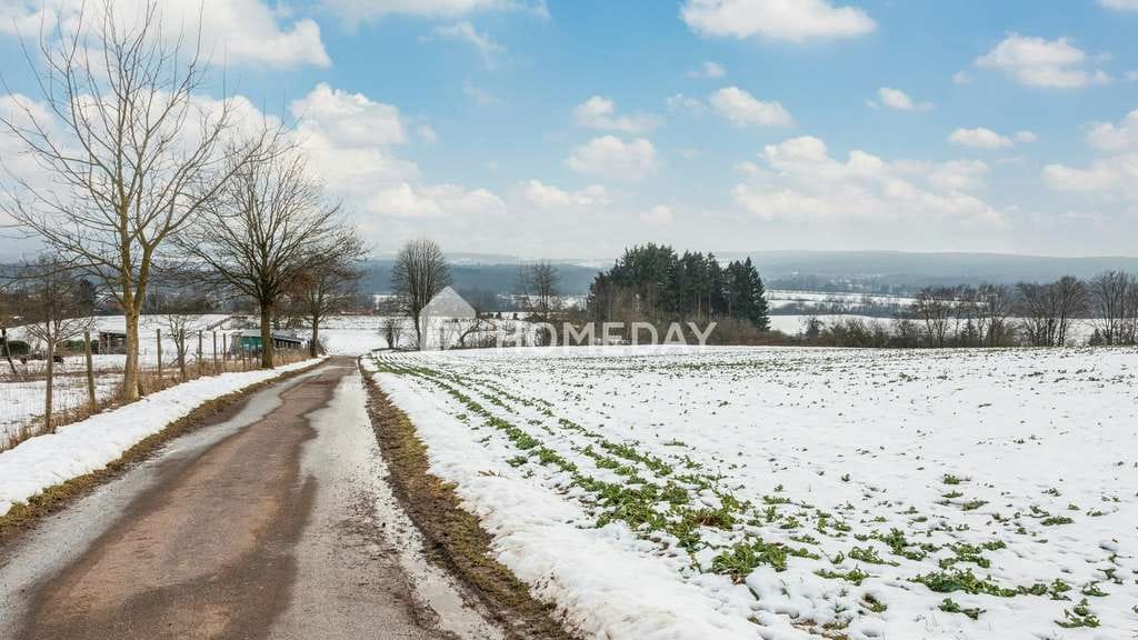 Immobilie in Gründau - Großzügiges Zweifamilienhaus mit 8 Zimmern und Garten in ruhiger Lage - Bild 3