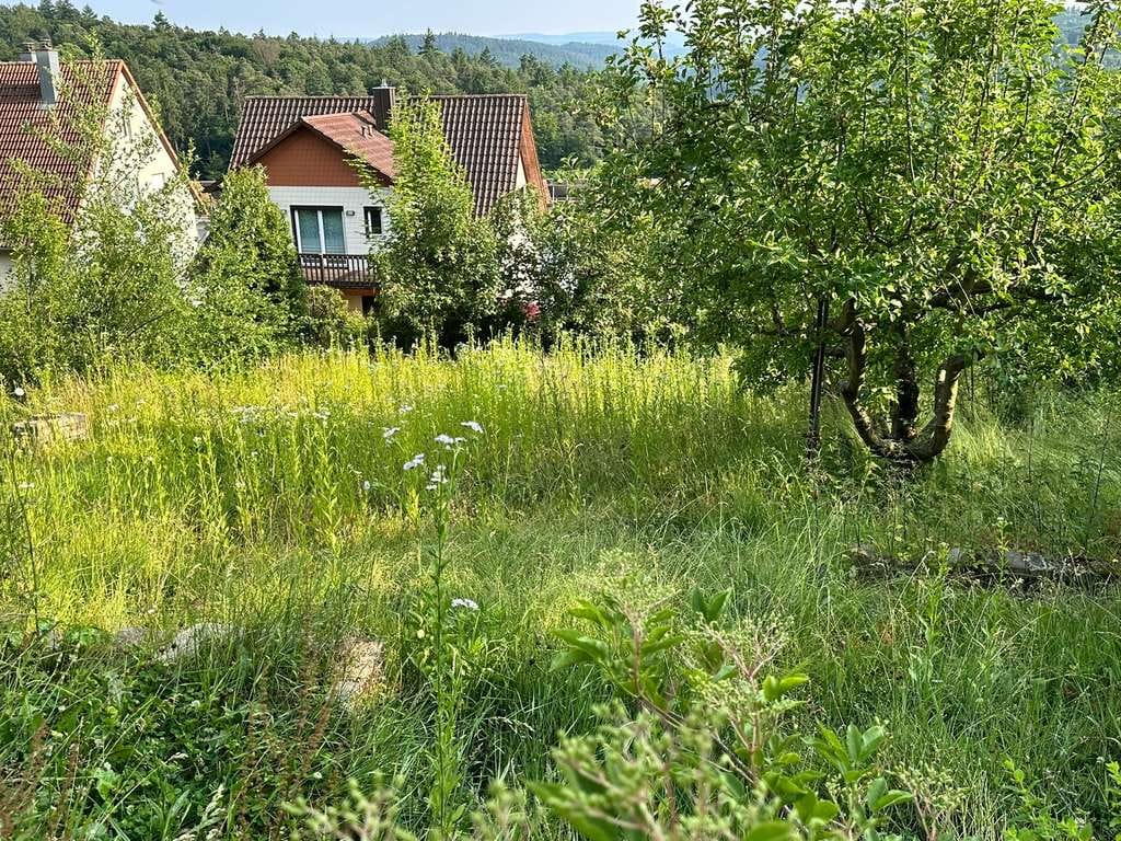 Immobilie in Waldbronn - LAGE, LAGE, LAGE - DHH auf schönem Grundstück mit TraumBLICK ins Albtal in Busenbach - Bild 2