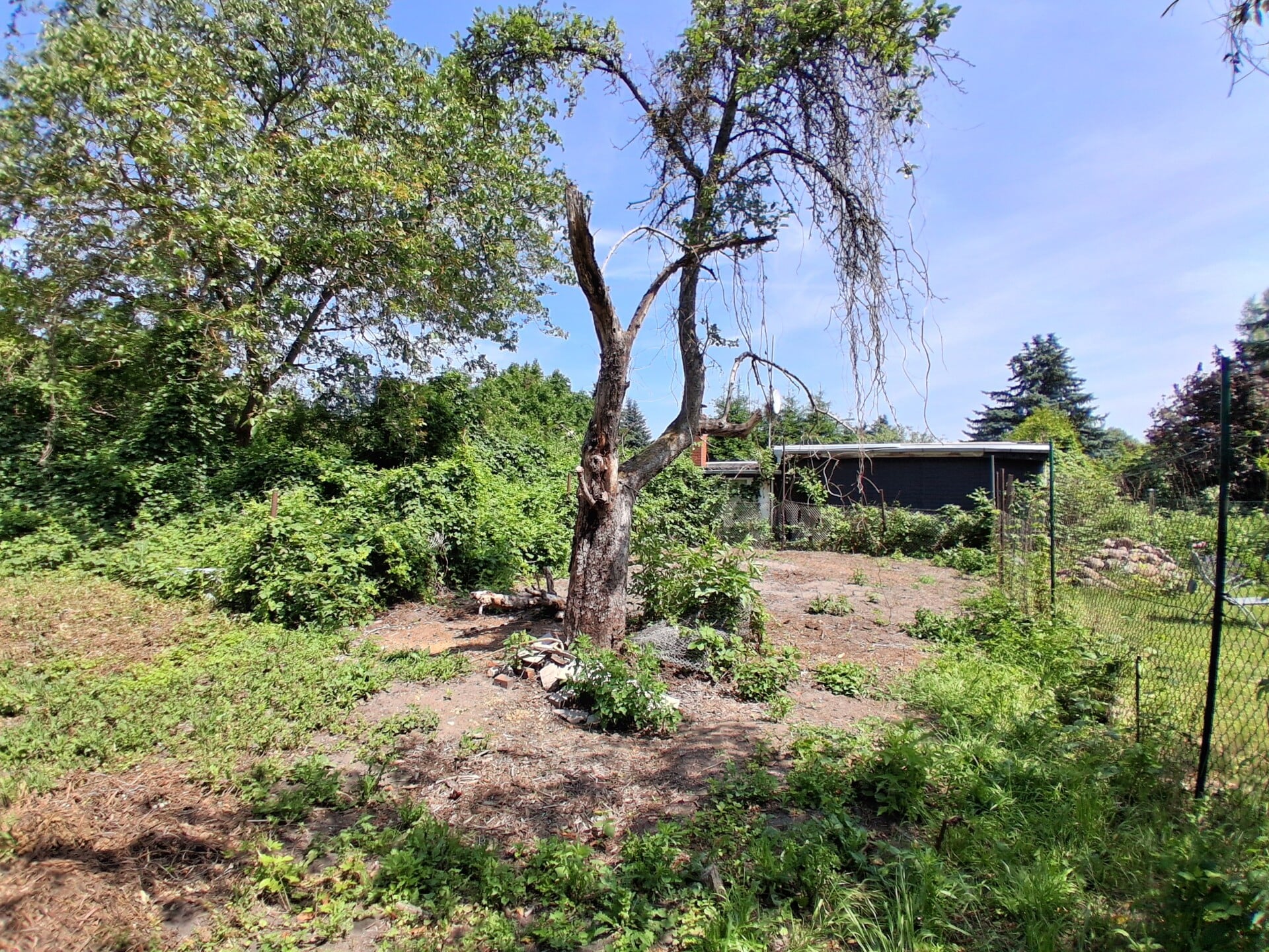 Immobilie in Stendal - Kleine Doppelhaushälfte - denkbar als Gartenhaus - Osten von Stendal - Refinanzierung denkbar - Bild 4