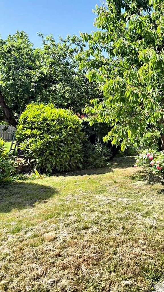 Immobilie in Ober-Ramstadt - Natur & viel Platz: Freistehendes Zweifamilienhaus mit Garten in Ober-Ramstadt - Bild 4