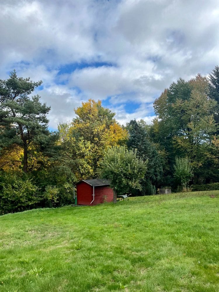 Immobilie in Hardegsen - Wunderschöne Etagenwohnung mit traumhaften Ausblick - Bild 4