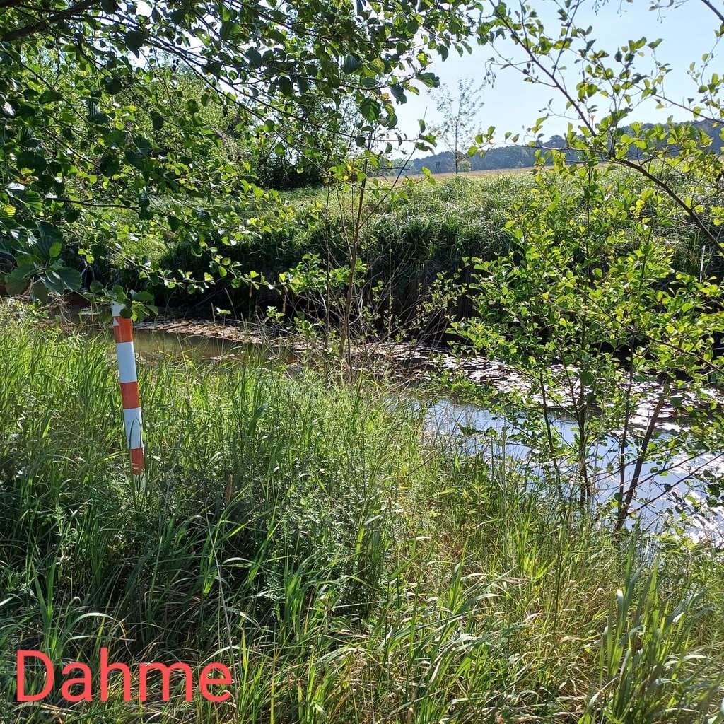 Immobilie in Rietzneuendorf-Staakow - Großzügiges Wohnhaus mit großen Garten  und modernem Wohnkomfort an der Dahme - Bild 4