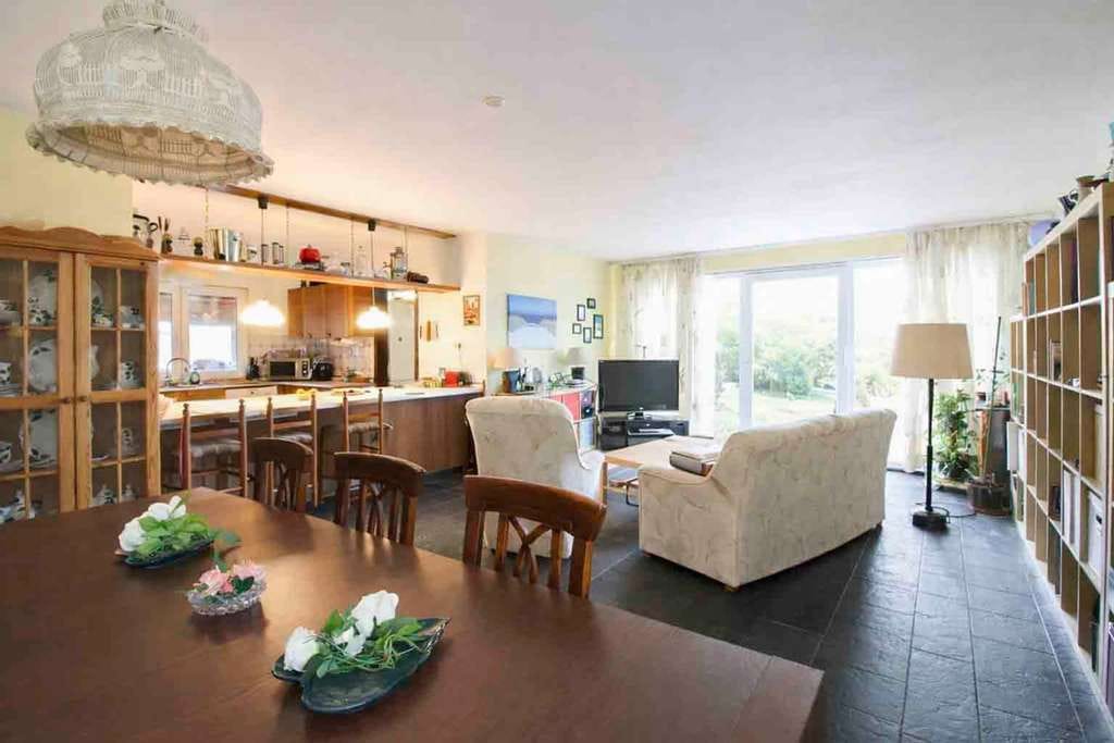 Immobilie in Salzhausen - Projekt für Handwerker und Sanierer – Bungalow mit großem Grundstück in ruhiger Lage - Bild 2