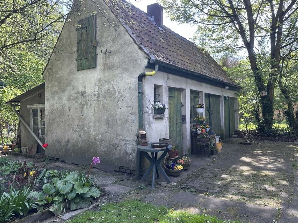Immobilie in Gelsenkirchen - Solides Mehrfamilienhaus mit großem Grundstück im Grünzug von Gelsenkirchen-Buer - Bild 3