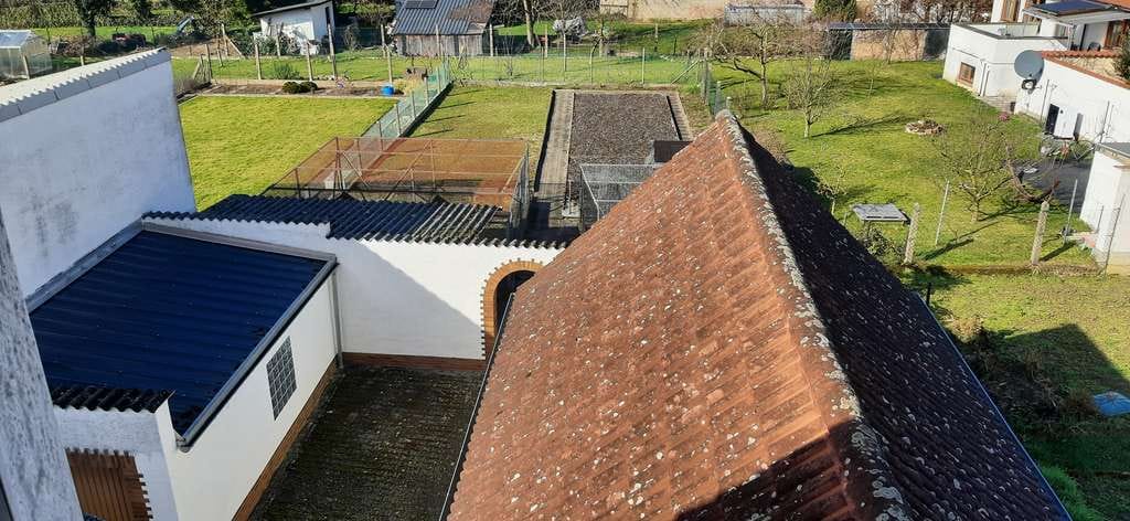 Immobilie in Alsbach-Hähnlein - Wohnen mit Charakter: Freistehendes Einfamilienhaus in Alsbach-Hähnlein/ Hähnlein - Bild 1
