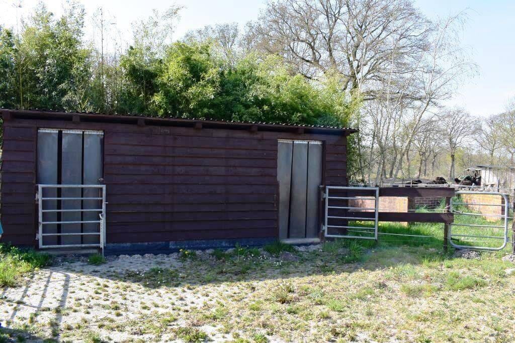 Immobilie in Uplengen - VERKAUFT - Schnuckeliges Landhaus mit kleiner Wiese! - Bild 4