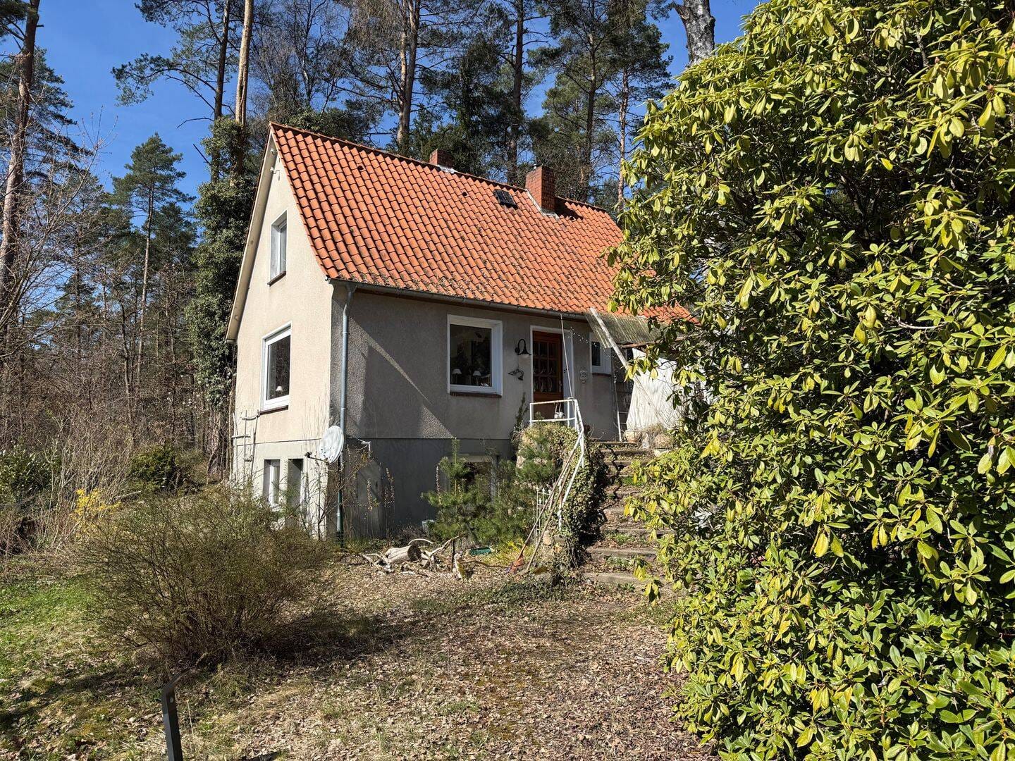 Immobilie in Faßberg - Charmantes Einfamilienhaus auf großzügigem Grundstück in idyllischer Lage - Bild 0