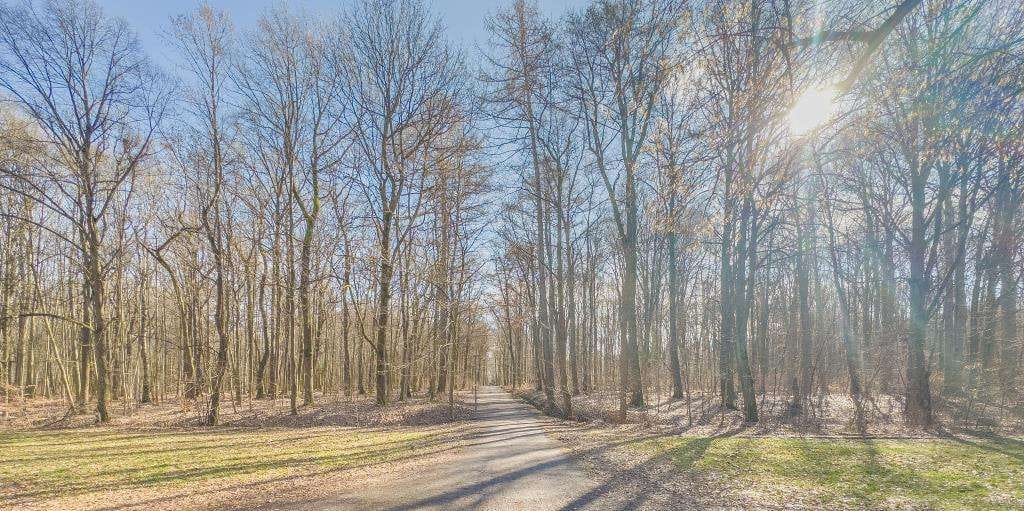 Immobilie in Chemnitz - CA. 7,6 % RENDITE - GUT VERMIETETES EINFAMILIENHAUS DIREKT AM WALD - Bild 1