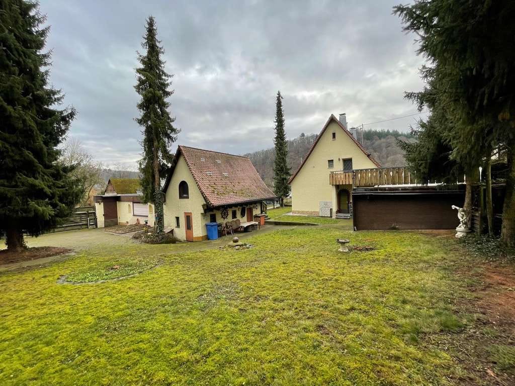 Immobilie in Neckargerach - 1-2-Familienhaus auf traumhaftem Grundstück mit romantischem Schopf - Bild 1