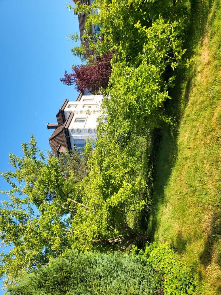 Immobilie in Contwig - Ein- bis Zweifamilienhaus mit großem Potenzial und sonnigem Garten - Bild 2