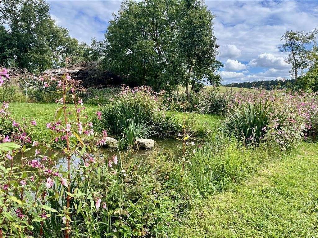 Immobilie in Pfeffenhausen - Dreiseithof für Visionäre – Platz für Ideen, Natur & Lebensqualität - Bild 0