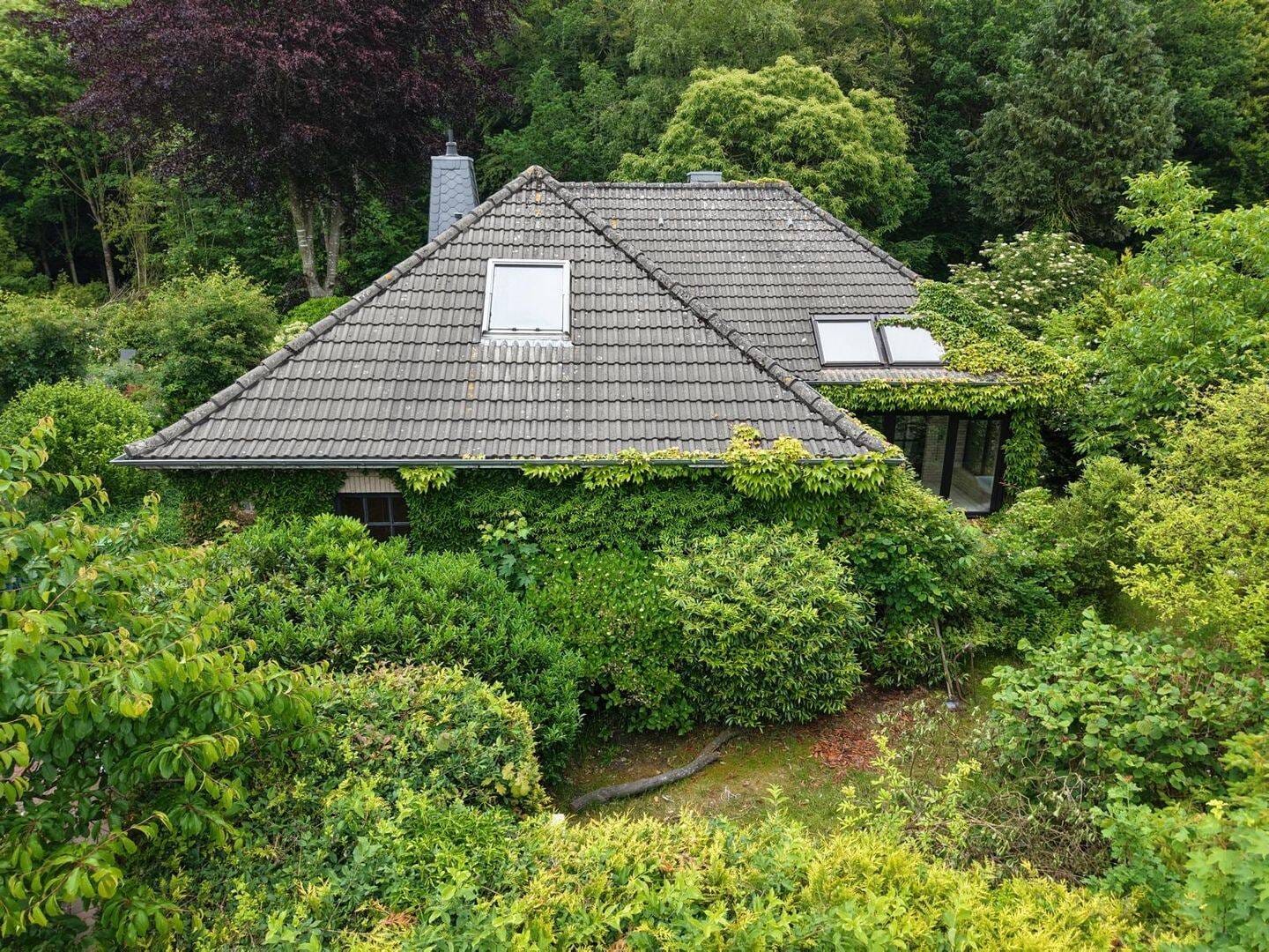 Immobilie in Hage - Viel Platz in bester Wohnlage: Großzügiger Bungalow mit Option Einliegerwohnung und idyllischer Waldnähe - Bild 1