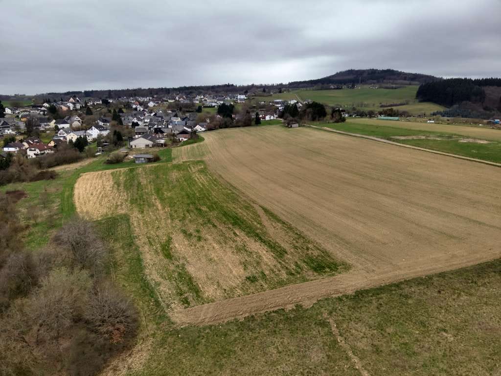 Immobilie in Mörschied - landwirtschaftliches Anwesen mit Wohnhaus, ehemaligem Stall und Scheune - Bild 4