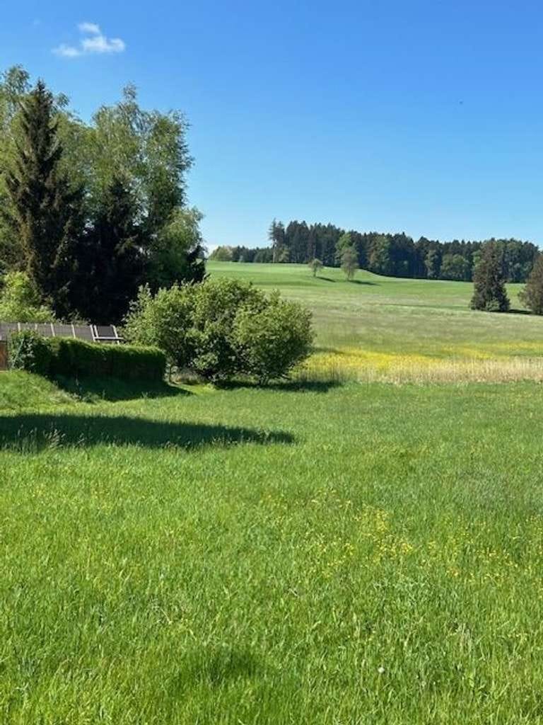 Immobilie in Vogt - Vermietetes 3-Familienhaus im Allgäu - Bild 3