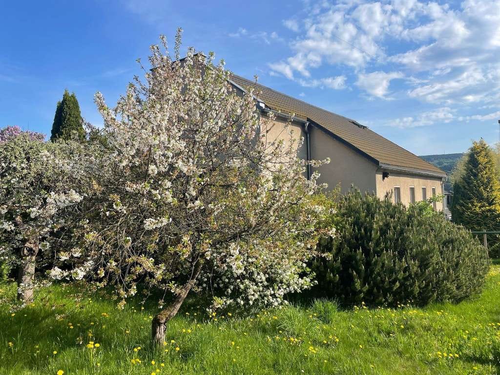 Immobilie in Schwarzenberg/Erzgebirge - Einmalige Immobilien auf einem Grundstück "Große Kirche - Kleines Haus" - Bild 1
