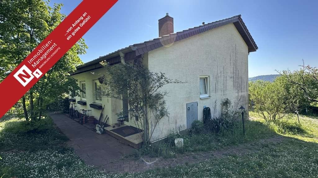Immobilie in Eisenberg (Pfalz) - Einfamilienhaus in Split-Level-Architektur im beliebten Wohngebiet Steinborn - Bild 0