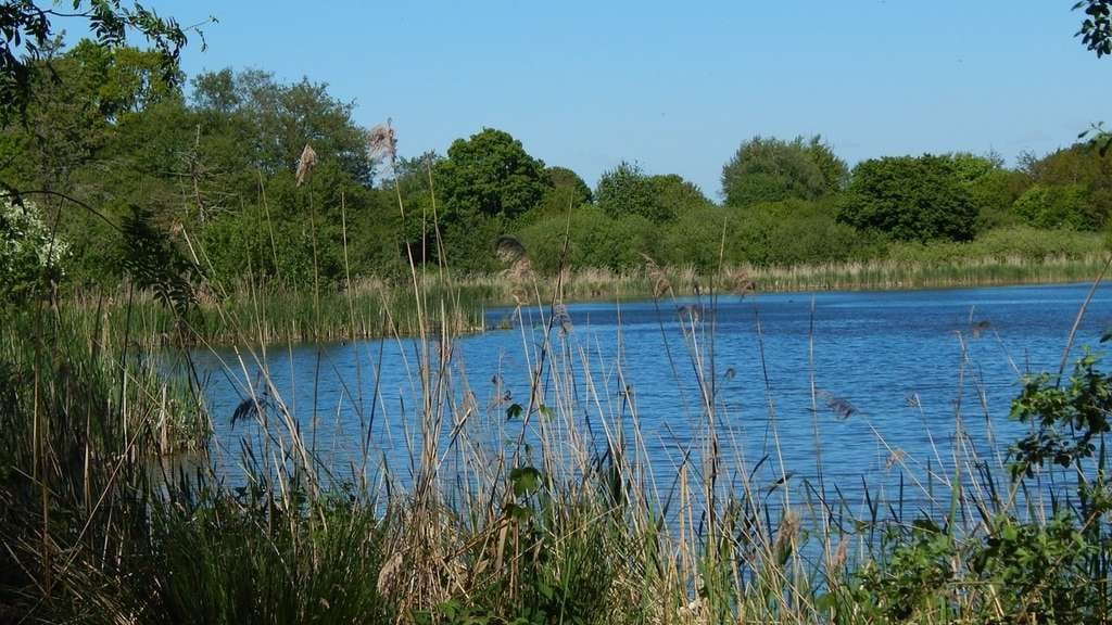 Immobilie in Owschlag - Leidenschaft für Schleswig-Holstein - Bild 1