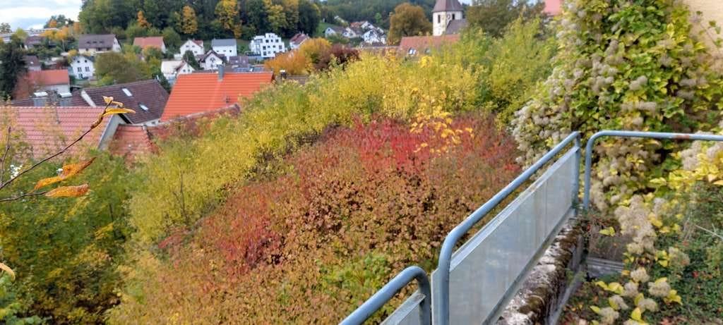 Immobilie in Aidlingen - Haus mit Potenzial und wunderbarer Lage - Bild 1