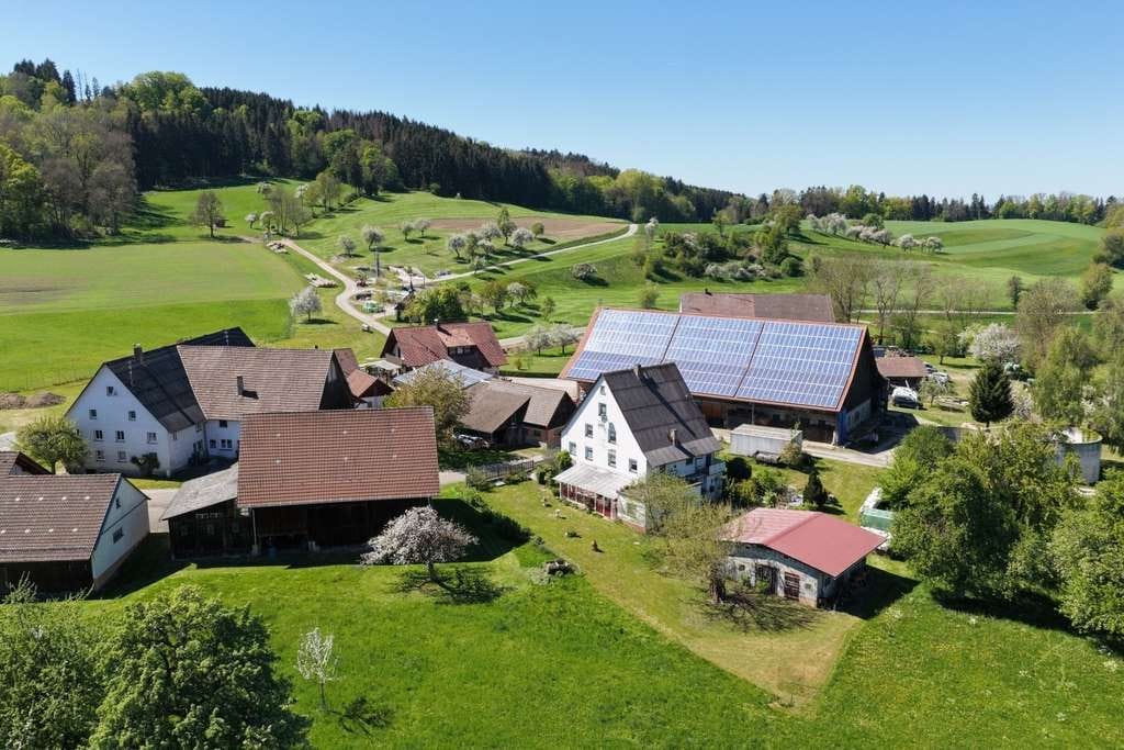 Immobilie in Ostrach - Zum Verlieben! Großer Garten, viel Platz, Ausbaupotenzial, Tierhaltung möglich! - Bild 2