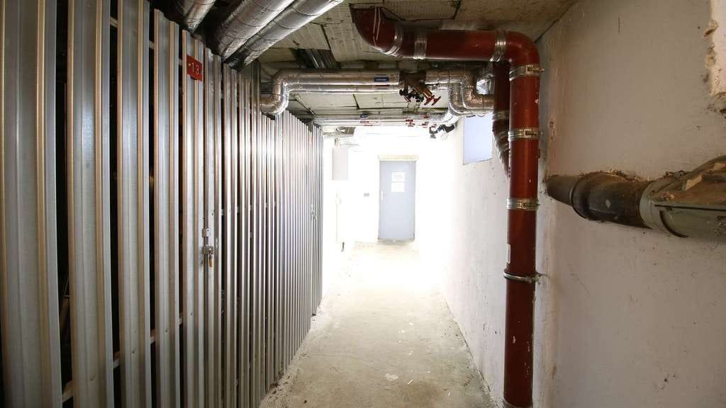 Immobilie in Berlin - Vermietete Wohnung mit Wohlfühlfaktor - Mitten in Spandau - Bild 4