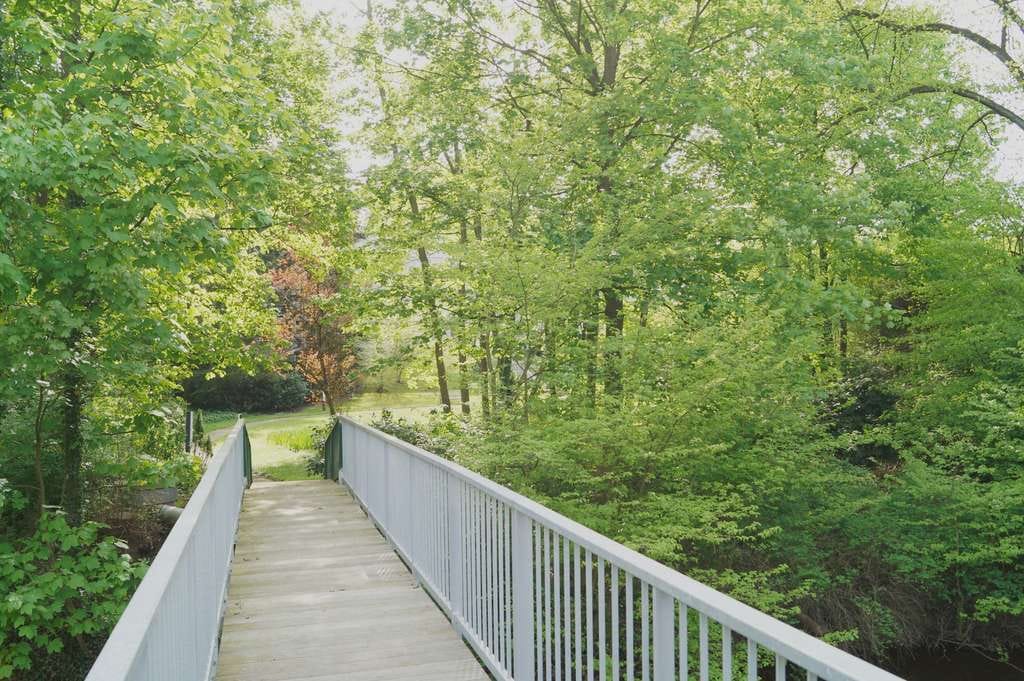 Immobilie in Wentorf bei Hamburg - Ruhe, Komfort und Parkgarten - Sonnige Wohlfühlwohnung mit Südbalkon und Blick ins Grüne - Bild 2