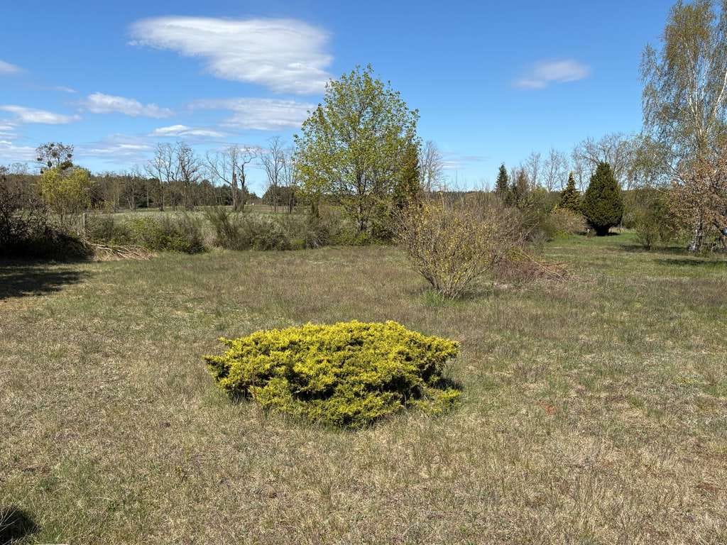 Immobilie in Milmersdorf - Wohnen in Naturlage am Ortsrand von Götschendorf - Bild 3