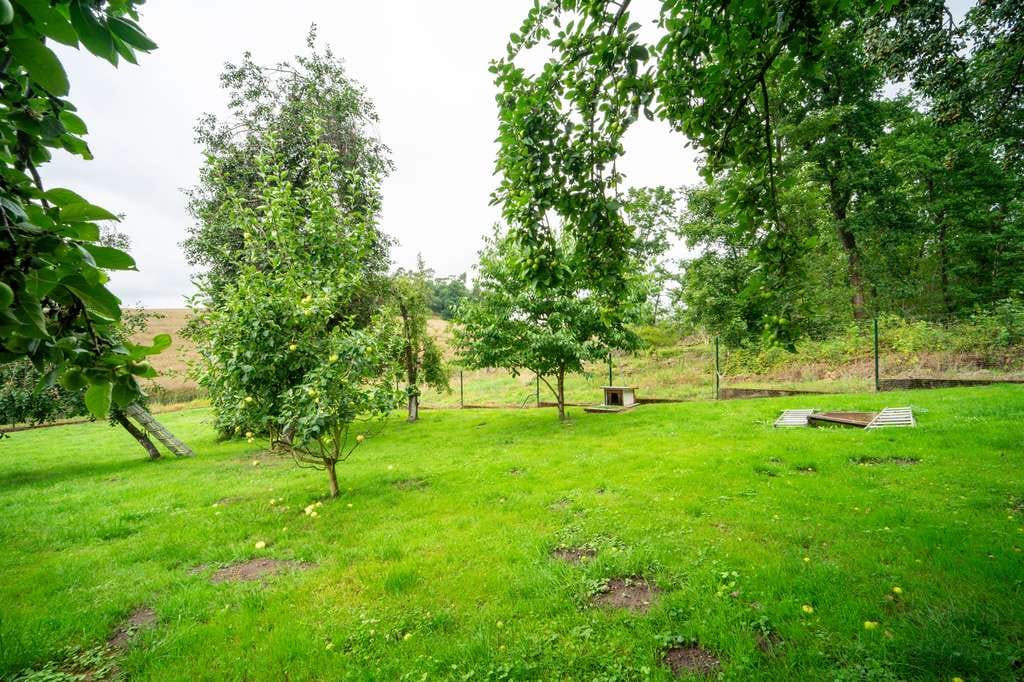 Immobilie in Peenehagen - Wohnen im Grünen – modernisiertes Landhaus mit viel Platz und Geschichte - Bild 4