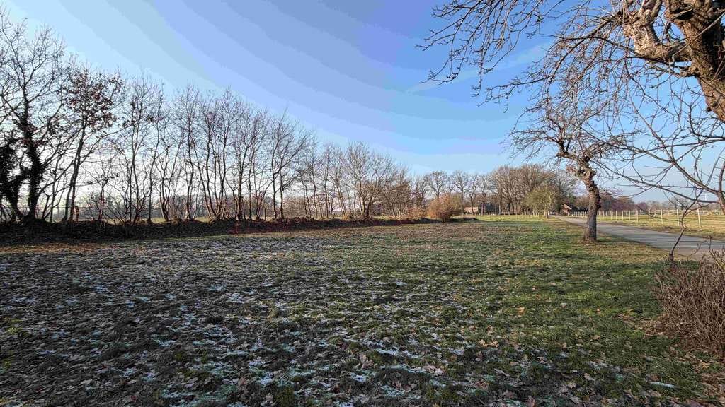 Immobilie in Moorrege - Charmantes Einfamilienhaus auf großzügigem Grundstück in begehrter Lage von Moorrege - Bild 3