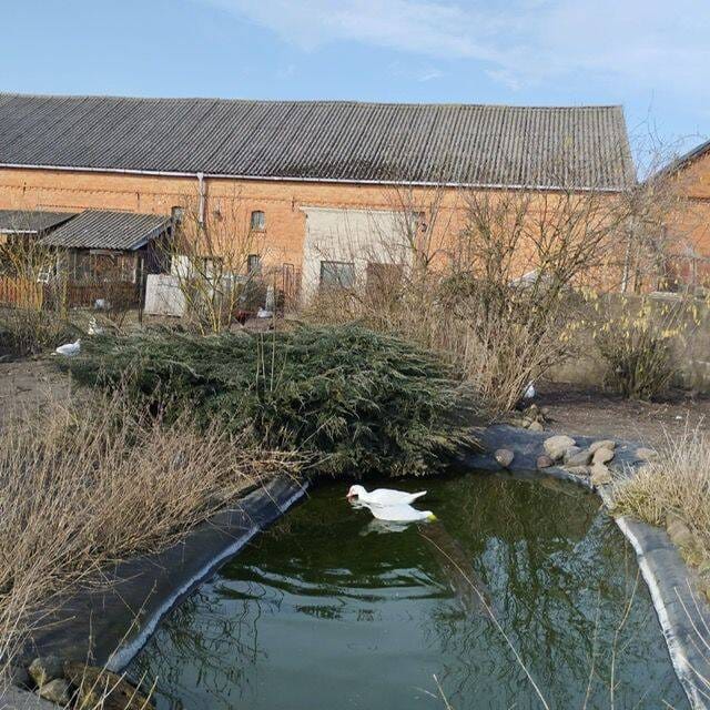 Immobilie in Eichstedt (Altmark) - sanierter Vierseitenhof in Rindtorf( zwischen Stendal u. Goldbeck gelegen) - Bild 0